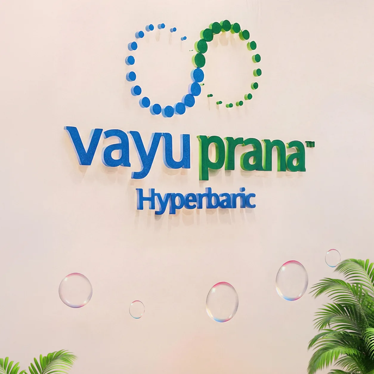 Vayu Prana Logo